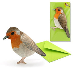 ROTKEHLCHEN Pop-Up-Karte