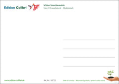 50 x  LANDSCHAFTEN Postkartenset
