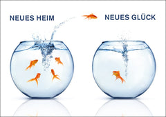 10 x  NEUES HEIM Postkarten-Set