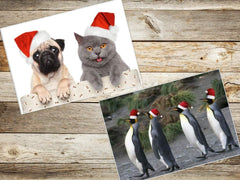 100 x  WEIHNACHTSKARTEN-Set (1)