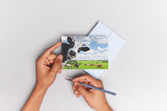 20 x  LUSTIGE TIERE Postkarten-Set (1)