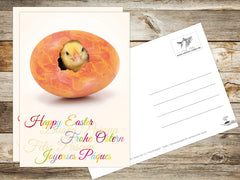 12 x  LUSTIGES OSTERN Grusskarten-Set