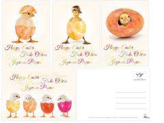 12 x  LUSTIGES OSTERN Grusskarten-Set