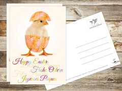 12 x  LUSTIGES OSTERN Grusskarten-Set